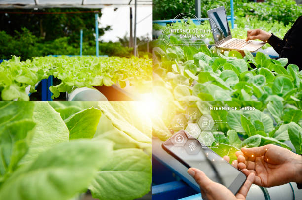 istock The concept of using AI and smart agriculture, precision agriculture 2178555081