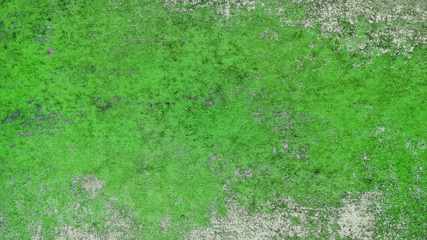 istock abstract green rusted on steel surface use as background with blank space for design. deterioration of the steel. decay and grunge texture of the old iron metallic wall. 2178556780