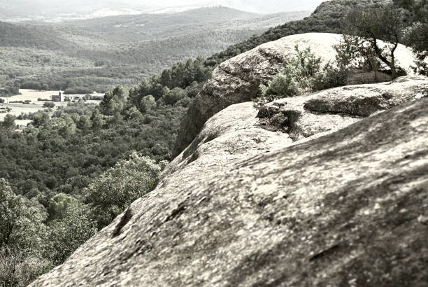 Paisaje de árboles y rocas