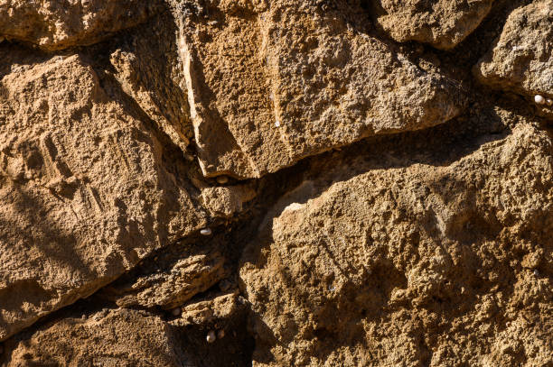 The rugged surface of a stone wall reveals intricate textures and warm tones, illuminated by sunlight, highlighting the passage of time and natural beauty.