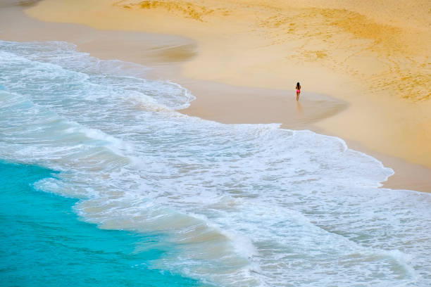 istock Beautiful Beach Rolling Waves from Ocean and Girl Walking 2178560357