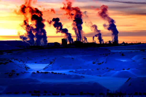 A close-up view of two smokestacks at the Stanton Energy Center in Orlando, Florida, emitting a plume of steam against a vast blue sky. Birds soar around the industrial structures, creating a contrast between nature and human infrastructure. The soft clouds and wisps of vapor add depth to the atmospheric scene.