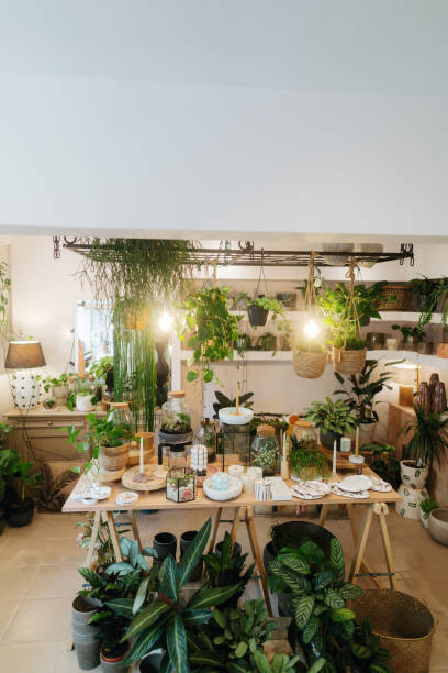 istock A cozy flower shop 2178560811