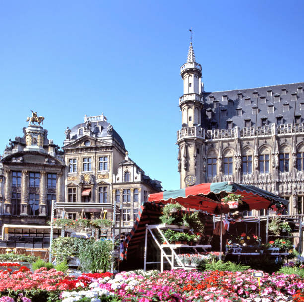 Flower market at Grand Palace in front of very old buildings  in Brussels, Belgium