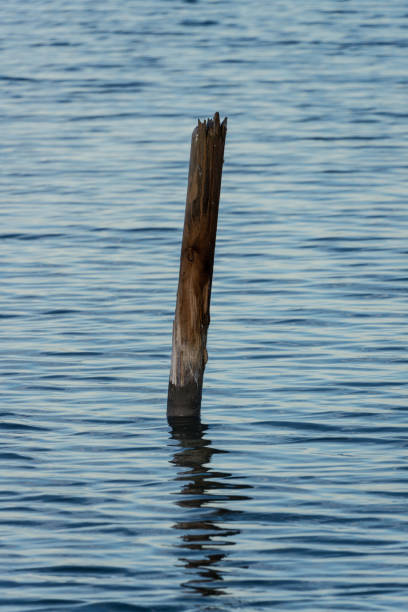 A solitary weathered wooden post stands in calm blue water, casting its reflection. The image evokes peacefulness and solitude in a natural setting.