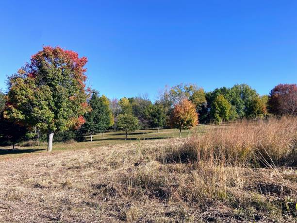 istock Kent Park in Oxford, Iowa 2178569724