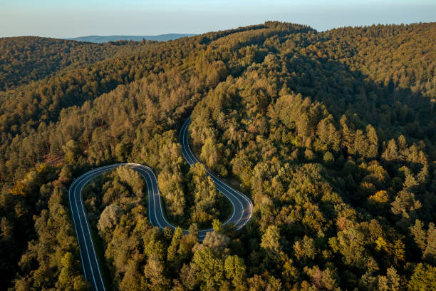 istock Winding road in a forest, aerial view 2178571595