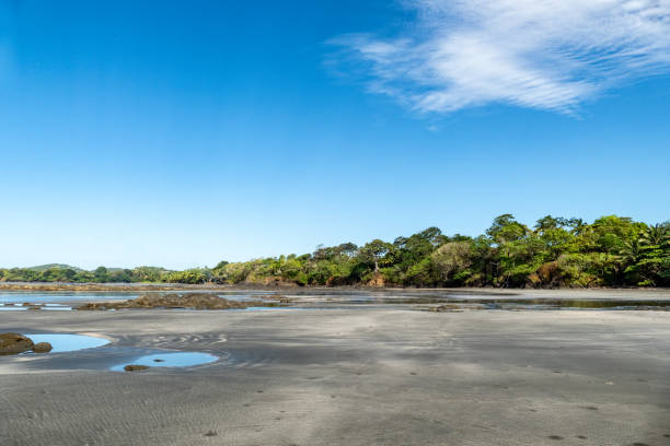 istock fine sandy beach at Cavolebora in Panama with nearby jungle 2178572562