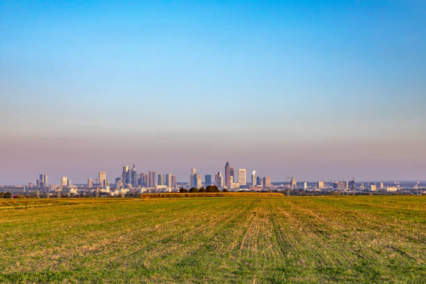 scenic view to skyline of Frankfurt with fields in foreground