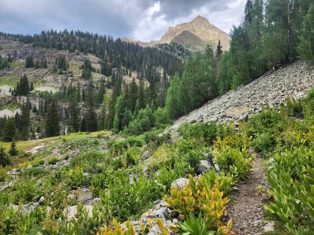 istock Mountain Landscape, Boulder County Colorado 2178573989