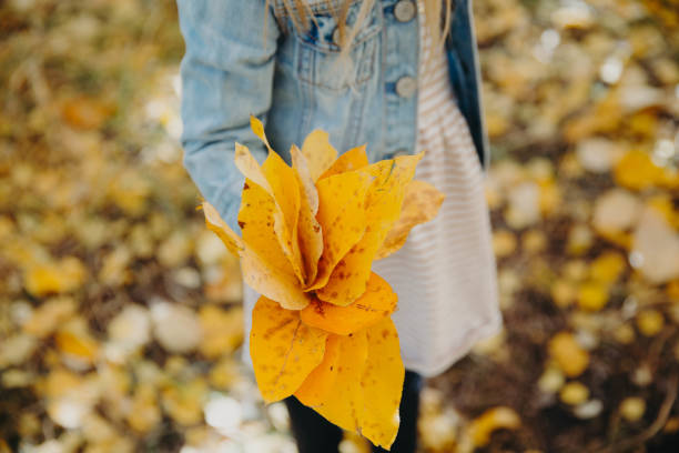 Girl playing in the autumn leave, enjoying life in Canada