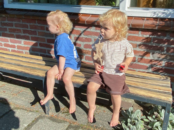 istock Playing Franternal Toddler Twin 2178577263