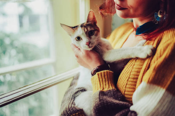 istock Young woman with cat staring through the window 2178577366