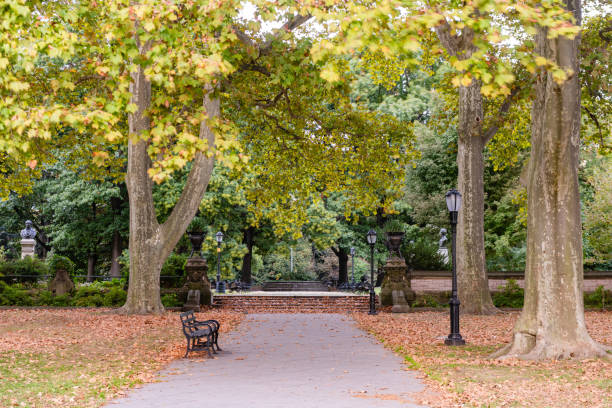 This is a photograph of a tranquil scene of the sidewalk lined with park benches and trees on a sunny autumn day in Prospect Park in Brooklyn, New York.