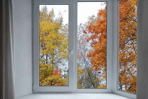 istock View from the window, yellow trees, landscape with autumn forest. 2178579794