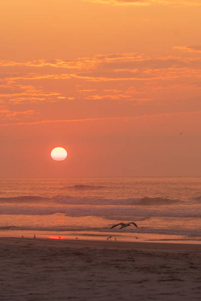 istock Sunrise view of Ocean waves breaking onto the beach 2178579837