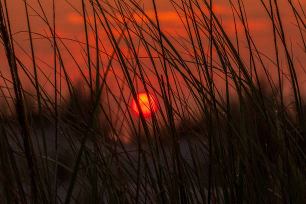 Sunset at the North Sea beach during a calm day in South Holland with gentle waves hitting the sandy beach in The Netherlands.