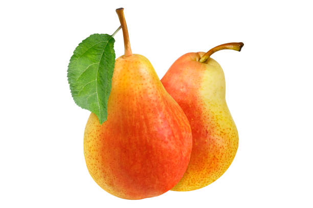 istock Two whole pears with a leaf on an isolated white background. 2178581120