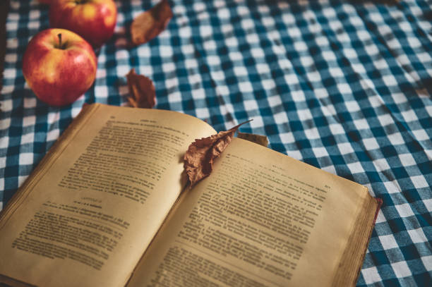 An inviting scene featuring an open vintage book on a picnic tablecloth with apples and autumn leaves. Perfect for evoking cozy, rustic fall vibes and leisure reading.