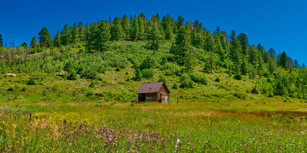 istock Small barn sitting in an alpine meadow with wildflowers. 2178585131