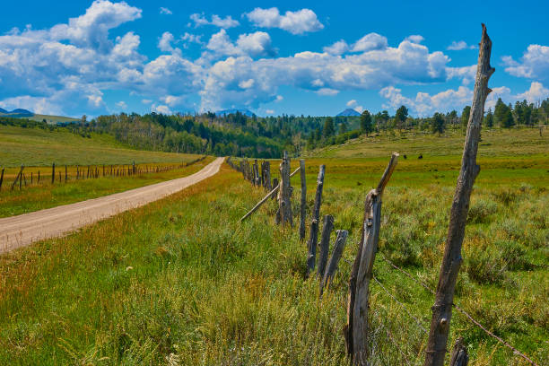 beautiful nature near Kamloops in Canada