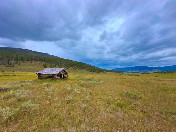 Old Barn in Alpine meadow near Keystone, CO.