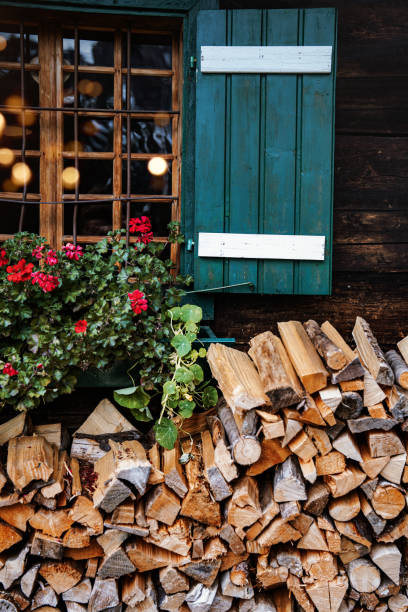 istock Stack of firewood in front of house 2178586358