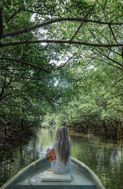 istock Woman on boat entering in a river surrounded by trees 2178586535