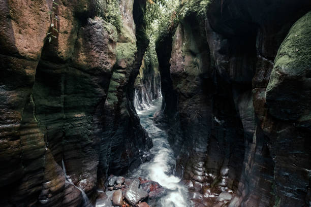 istock Magnificent river in the middle of the jungle 2178586715