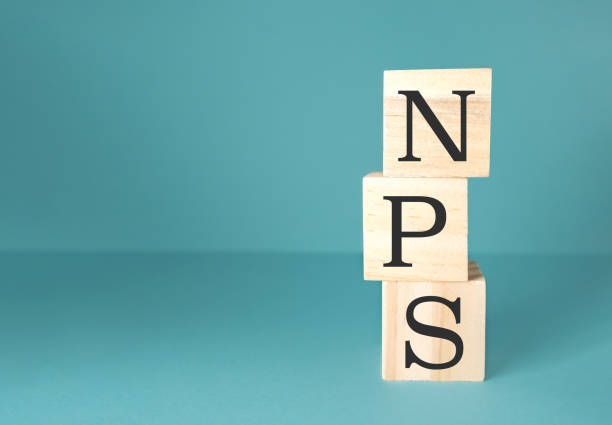 istock Stack of wooden blocks with the letters NPS on top 2178587335
