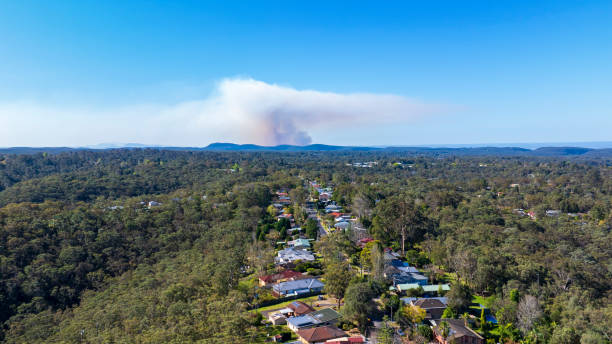 Bushfire hazard reduction burning by the local fire service