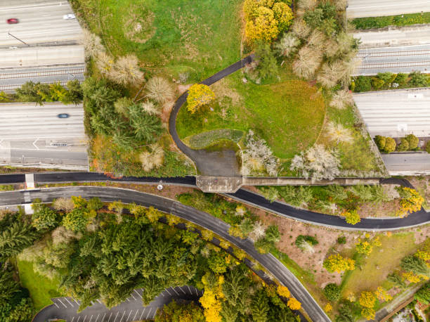 istock Trees and Bushes Cover a Lid over Freeway 2178589417