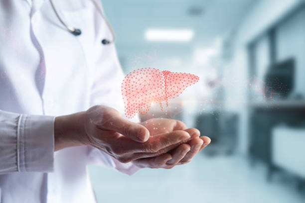 istock The doctor supports the geometric liver. 2178593916