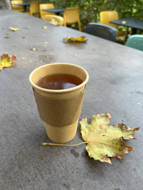 paper cup and dried leaf on table in autumn park