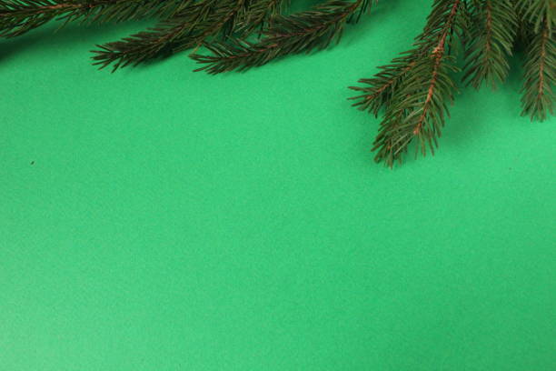 New Year Christmas Background Spruce Branch on Black Red Yellow Background with Space for Copyspace Text.