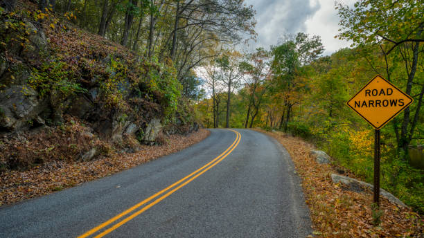 A white minivan is parked along side the Big Run Road  leading to Big Run State Park in Maryland.  Lush green foliage surrounds the two lane country road.