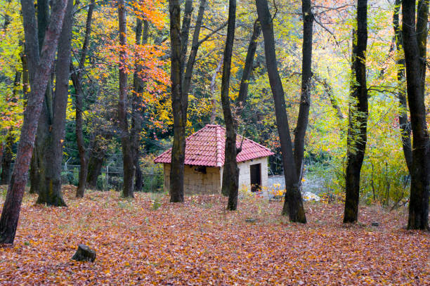 Botanical garden in autumn ,Vanadzor,Armenia .