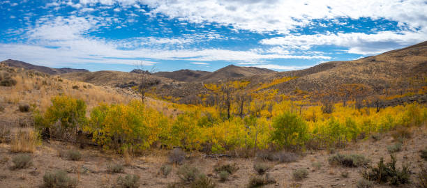 istock Beautiful Desert Autumn Landscape in Nevada. 2178609638