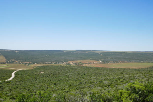 Addo Elephant Nationalpark is a diverse wildlife conservation park close to Gqeberha, former Port Elizabeth.