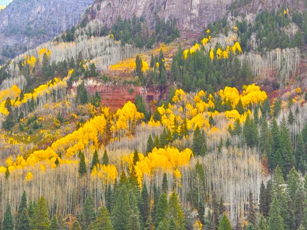 Driving on on roads in the Rocky Mountains in Colorado around Ouray.