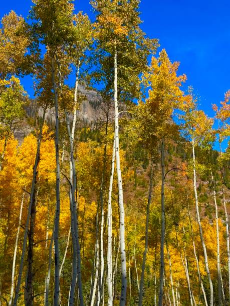 Driving on on roads in the Rocky Mountains in Colorado around Ouray.