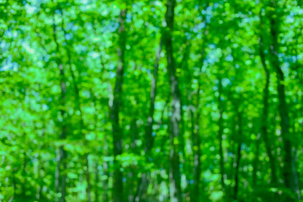 green background