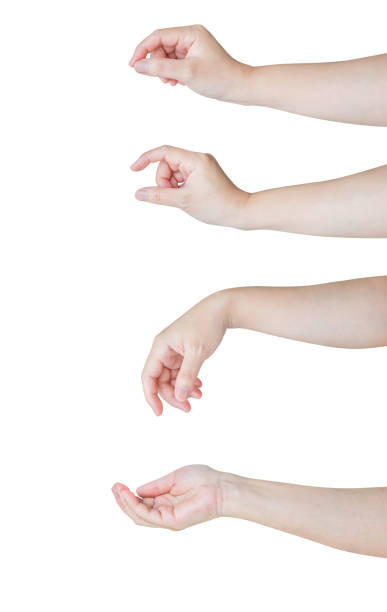 istock Woman hand gesture holding something set isolated on white background 2178616879