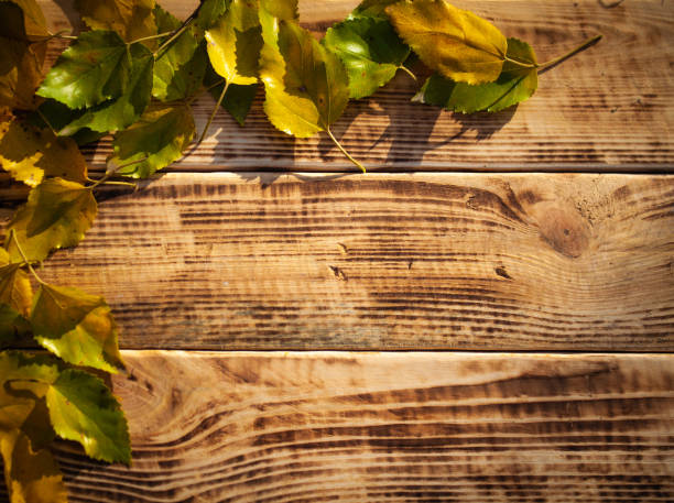 Autumn leaves on a burnt old brown wooden background. Yellow and red leaves texture on brown wood top view with copy space