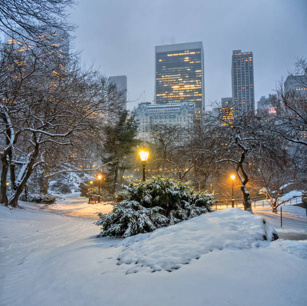 istock Central Park in winter , snow storm 2178620756