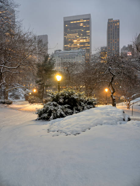 istock Central Park in winter , snow storm 2178620779