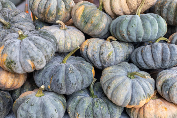 istock A pile of squashed pumpkins with green stems 2178626926