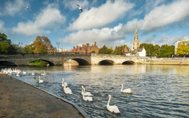 istock Swans on River Great Ouse in Bedford 2178626989