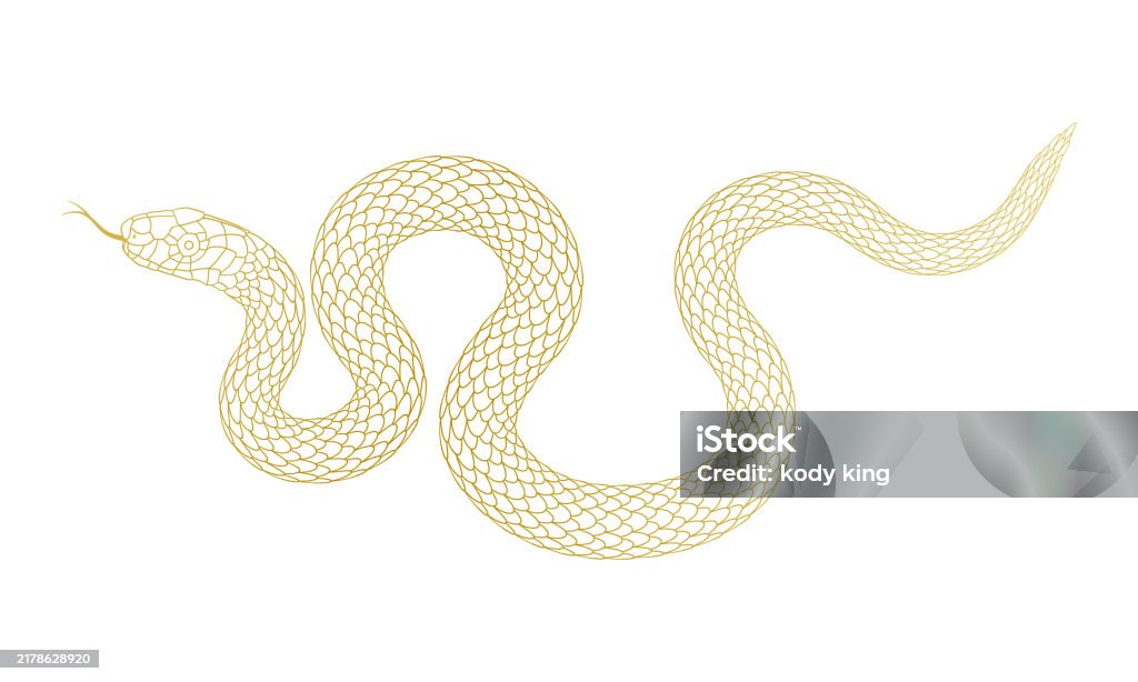 Vector Snake Simple A Simple Cartoon Snake Pattern Stock Illustration - Download Image Now ...
