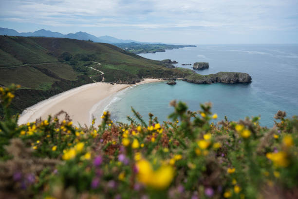 istock Playa Torimbia beach, Asturias, Spain 2178630545